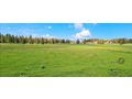 VLASIC BOSNIEN URLAUBS LAND KAUF AB 6 90 - Grundst�ck kaufen - Bild 5