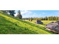 VLASIC BOSNIEN URLAUBS LAND KAUF AB 6 90 - Grundst�ck kaufen - Bild 6