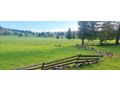 VLASIC BOSNIEN URLAUBS LAND KAUF AB 6 90 - Grundst�ck kaufen - Bild 9
