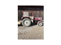 Steyr 40 Traktor Garten Hof - Traktoren & Schlepper - Bild 1