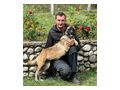 Begium Girl liebevolle Menschen - Mischlingshunde - Bild 6