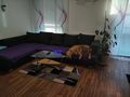 Suche Nachmieter Reihenhaus - Wohnung mieten - Bild 12