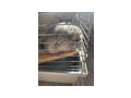 Chinchilla - Weitere Kleintiere - Bild 2