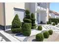 Ihrem Profi Gartengestaltung Wien - Gartendekoraktion - Bild 3