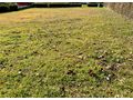 Attraktives sonniges Baugrundst�ck - Grundst�ck kaufen - Bild 2