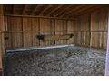 Einstellplatz Offenstall - Einstellpl�tze - Bild 5