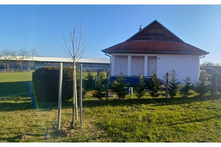 Sch�nes EFH Buszak Ungarn - Haus kaufen - Bild 1