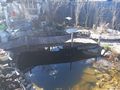 Teichzubeh�r Fische - Fische - Bild 9