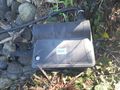 Teichzubeh�r Fische - Fische - Bild 3