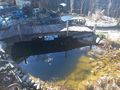 Teichzubeh�r Fische - Fische - Bild 1