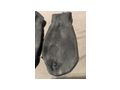 M Wien W Foot Fetish Footjobs - Erotik - Bild 8