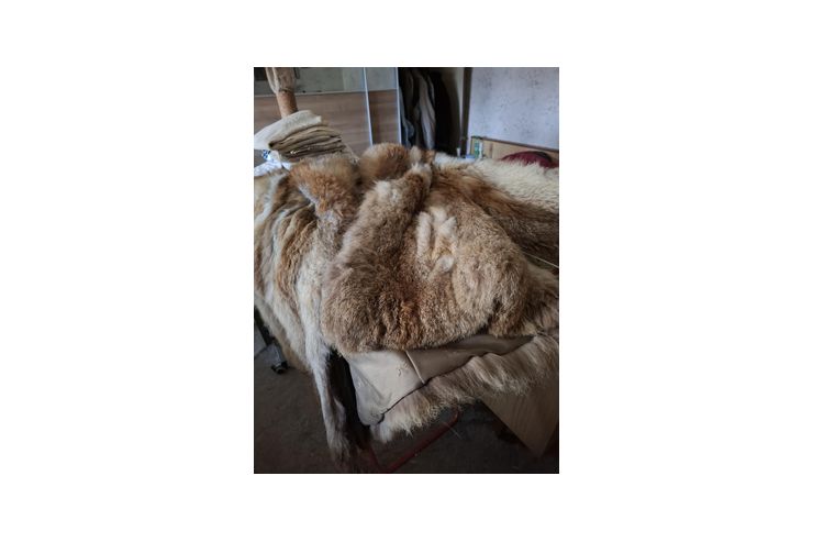 Silberfuchs Pelzjacke - Gr��en 44-46 / L - Bild 1