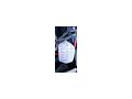 Fiat Punto - Autos Fiat - Bild 14