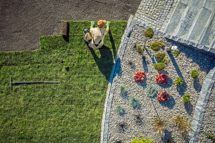 Rollrasen inklusive Verlegung - Gartendekoraktion - Bild 1