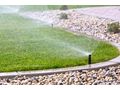 Rollrasen inklusive Verlegung - Gartendekoraktion - Bild 2