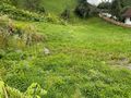 Grundst�ck Zams - Grundst�ck kaufen - Bild 3