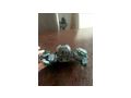 Lego Star Wars 75168 Yoda s Jedi Starfighter - Fantasy & Science-Fiction - Bild 5
