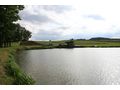 Teiche verpachten - Grundst�ck mieten - Bild 2