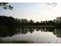 Teiche verpachten - Grundst�ck mieten - Bild 5