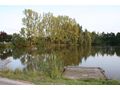 Teiche verpachten - Grundst�ck mieten - Bild 6