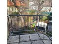 Maisonette begehrter Lage Neuwaldegg - Wohnung kaufen - Bild 7