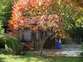 Garten Sommerhaus Freizeit Erholung - Grundst�ck mieten - Bild 3