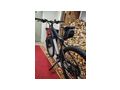 Adore E - Elektro Fahrr�der (E-Bikes) - Bild 2
