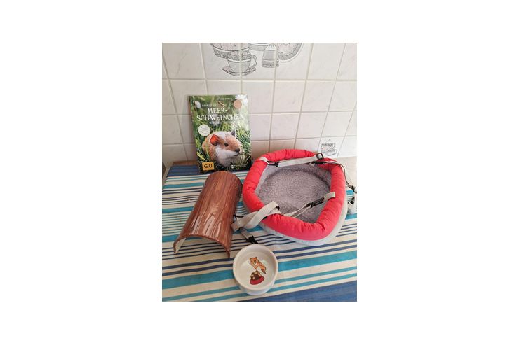 Zubeh�r Meerschweinchen - Meerschweinchen - Bild 1
