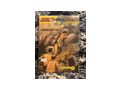 AKIM Neue Abenteuer KOMPLETTSATZ G�NSTIG - Comics - Bild 7
