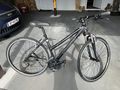 Damenfahrrad Morrison Coss MX290 - Mountainbikes & Trekkingr�der - Bild 1