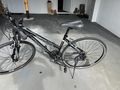 Damenfahrrad Morrison Coss MX290 - Mountainbikes & Trekkingr�der - Bild 2