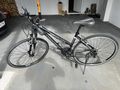 Damenfahrrad Morrison Coss MX290 - Mountainbikes & Trekkingr�der - Bild 3