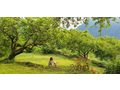 Country Home Ober Como See - Haus kaufen - Bild 13