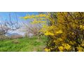 Country Home Ober Como See - Haus kaufen - Bild 14