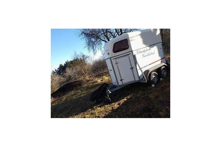 Doppelh�nger Piccolo W�rmann - Pferdeanh�nger - Bild 1