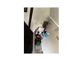 Hero Camper The Livingstone - Wohnwagen - Bild 12