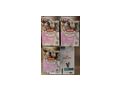 Diabetes Katzenfutter - Futter, N�pfe & Futterautmaten - Bild 2