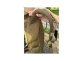 Notfallrucksack Inhalt Fluchtrucksack - Rucks�cke - Bild 15