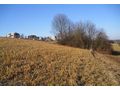 Grundst�ck landwirtschaftliche Fl�che - Grundst�ck kaufen - Bild 1