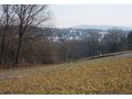 Grundst�ck landwirtschaftliche Fl�che - Grundst�ck kaufen - Bild 2