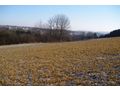 Grundst�ck landwirtschaftliche Fl�che - Grundst�ck kaufen - Bild 3