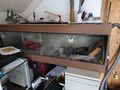 G�nstige Terrarien Aquarium - Terrarien & Becken - Bild 3