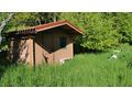 Grundst�ck Blick Ruine Senftenberg - Grundst�ck kaufen - Bild 6