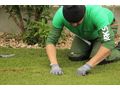 Rollrasen Bew�sserung - Gartendekoraktion - Bild 2