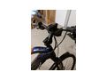 E Trekking Bike HAIBIKE SDOURO 5 - Elektro Fahrr�der (E-Bikes) - Bild 4