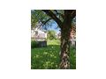 Charmantes �lteres Haus gem�tlichem Garten - Haus kaufen - Bild 11