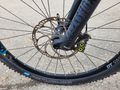 EMTB Hundeanhaenger - Mountainbikes & Trekkingr�der - Bild 5