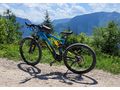 EMTB Hundeanhaenger - Mountainbikes & Trekkingr�der - Bild 3