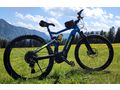 EMTB Hundeanhaenger - Mountainbikes & Trekkingr�der - Bild 2