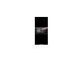 Performance Tread Centra - Laufb�nder - Bild 6